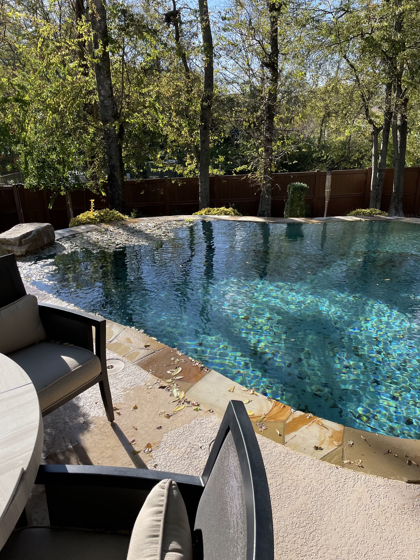 Premium inground pool and patio